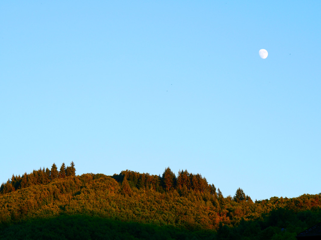 Montagne dans l'Aveyron