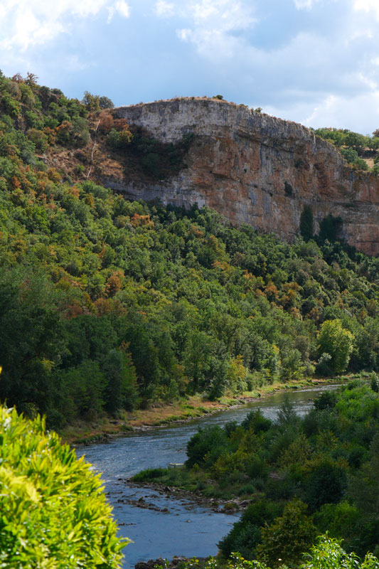 Paysage forêt dans l'Aveyron